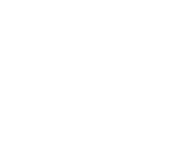 2 in 1 portret | Duo portret | 2 personen 1 gezicht 